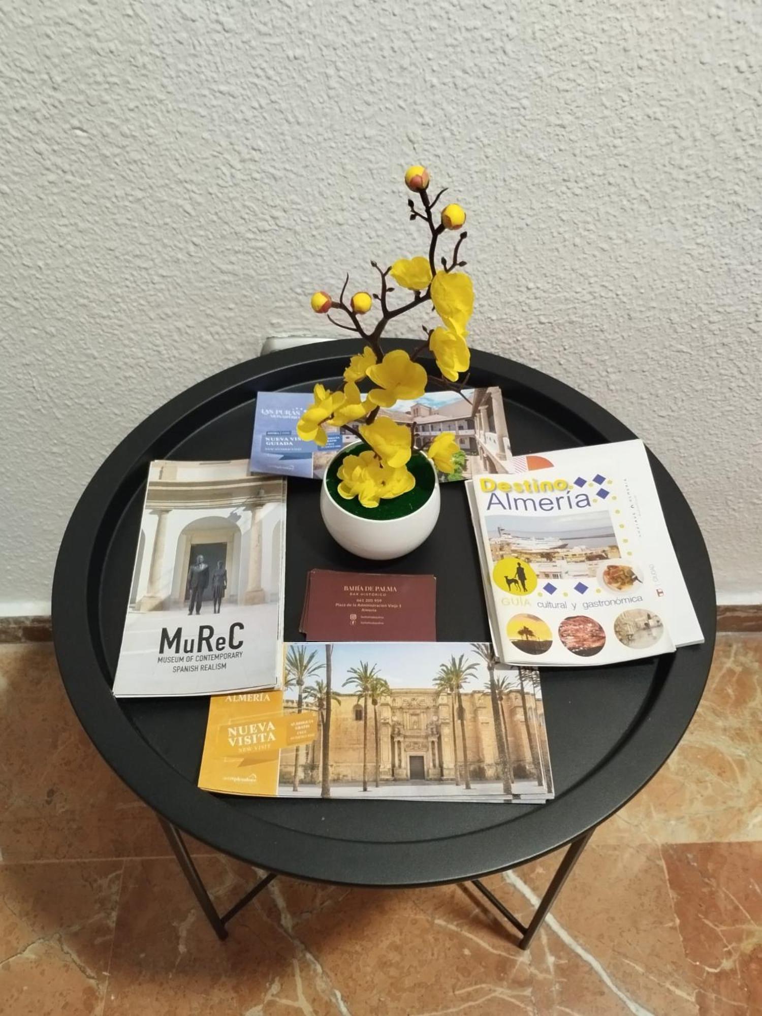 Appartement Piso Museo Del Realismo - Catedral - Alcazaba Con Parking Gratis - Super Wifi à Almería Extérieur photo